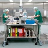 Preventing the Spread of Infection in Hospitals