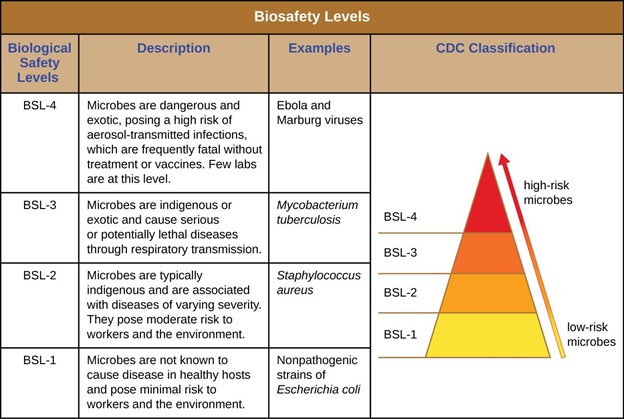 Information in table and pyramid concept from CDC