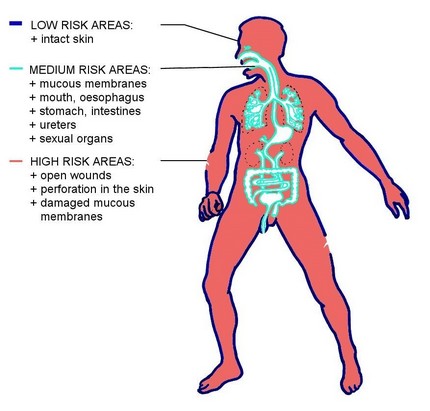 Las areas de riesgo bajo, medio y alto del cuerpo