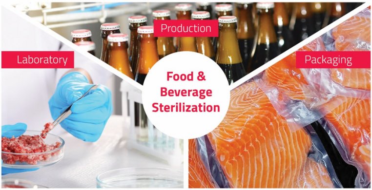 food in lab petri dish, beer, salmon, food and beverage sterilization