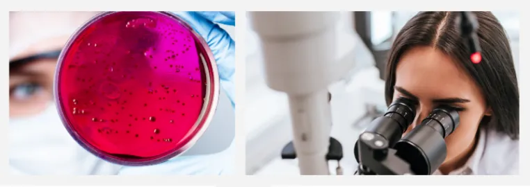 coronavirus sterilization - lab image