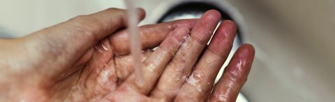 The ins and outs of proper handwashing at your vet clinic